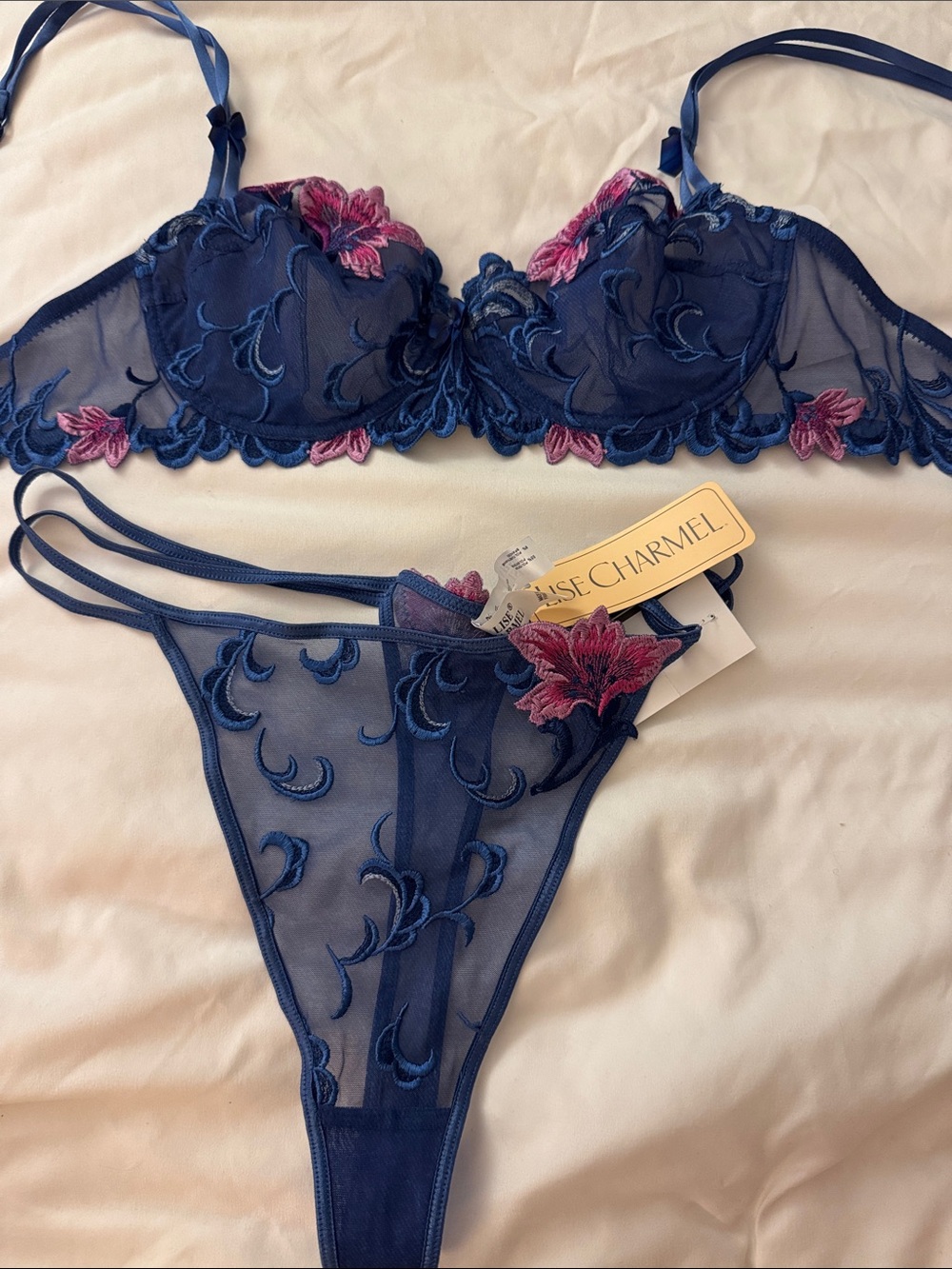 Blue & Pink Embroidered Lace Bra 36B & Thong Set L